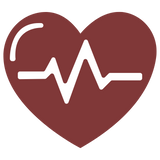 Promotes Heart & Artery Health